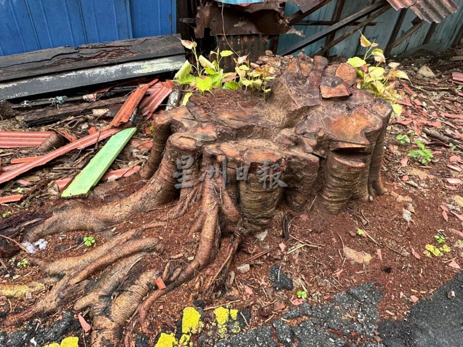 （古城第三版主文）祈安律木屋荒废屋檐倒塌 梁证法促业主尽快维修