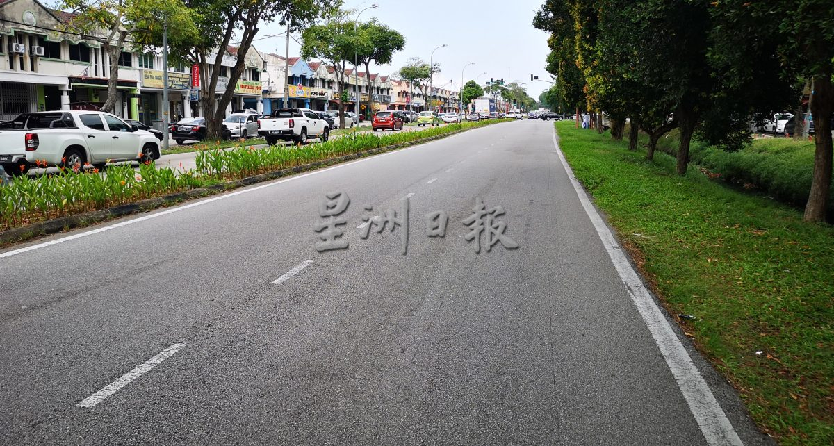 （古城第二版主文）枝桠往路中延伸、阻挡视线、保养费高且遮挡店铺招牌 默迪卡花园约百棵长红木将全面被砍