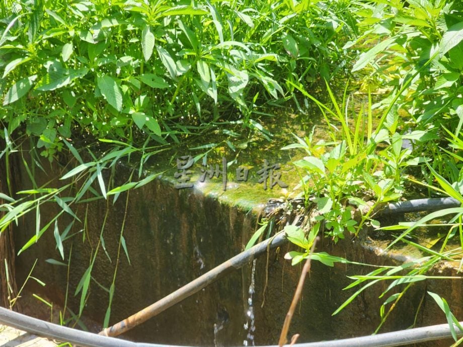（古城第二版主文）私人地不断流水至住家，长时间积水长青苔有时发出异味