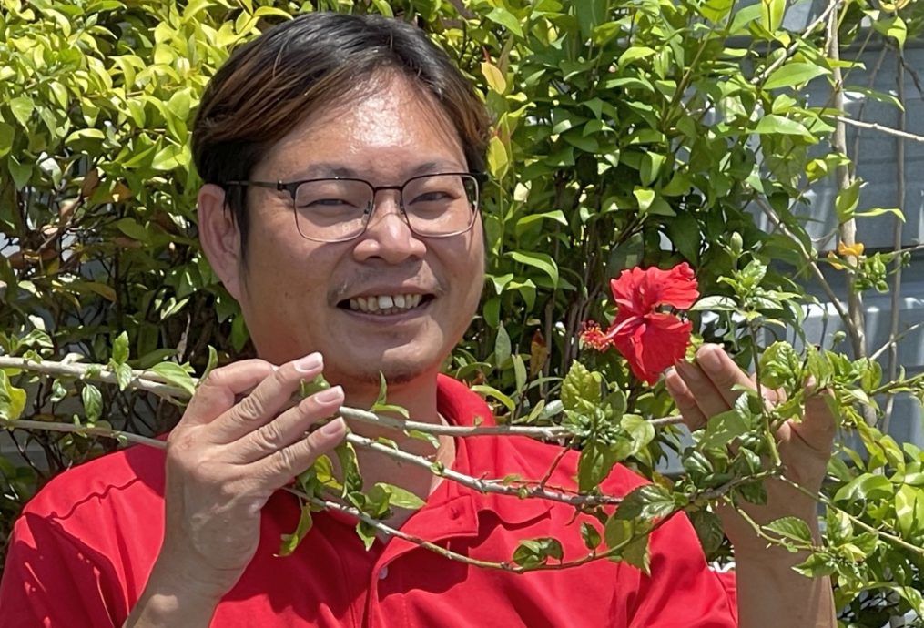 （古城第二版主文）还记得马来西亚国花吗？