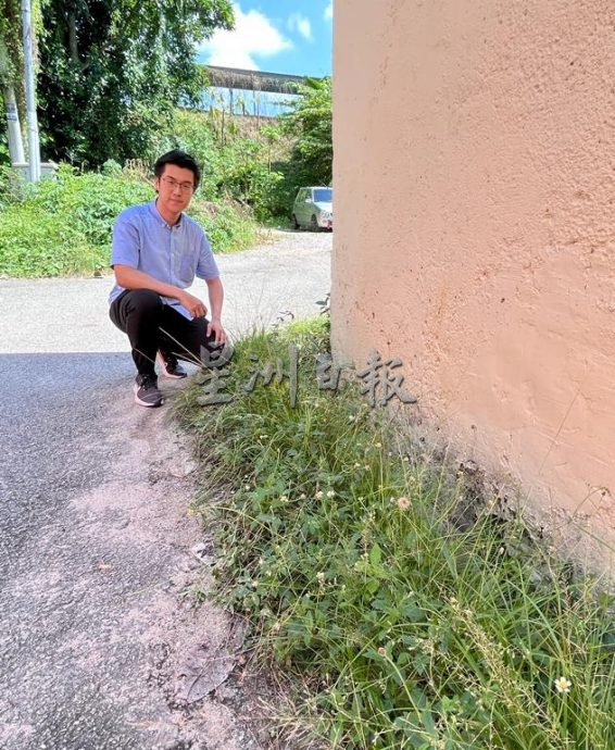 （古城第六版主文）亚罗牙也市镇店屋后巷野草丛生