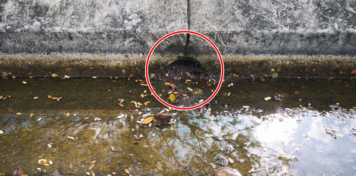 （古城第四版主文）吉里望沿海大道及哥打沙万达出水口受阻 积水逾一车道 威胁使用者安全