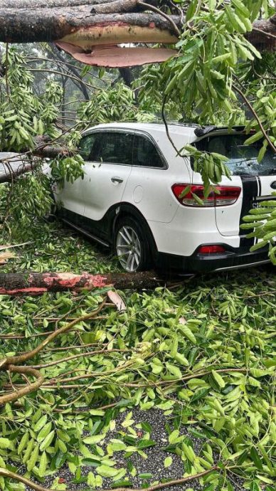 (已签发)柔:狮城二三事:全岛大雨多处淹水 水深半个车轮