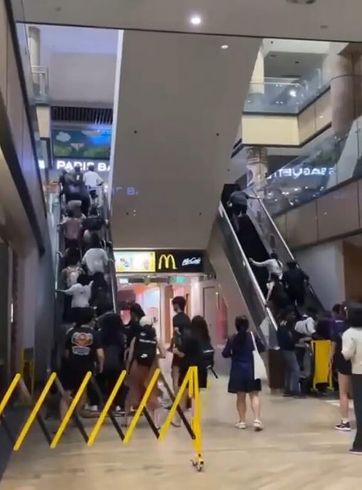 (已签发)柔:狮城二三事:泰莱史薇芙演唱会开票 粉丝涌商场钻闸门冲扶梯抢票