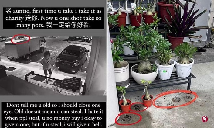 (已签发)柔:狮城二三事:老妇被指偷盆栽 店主凭衣着逮人