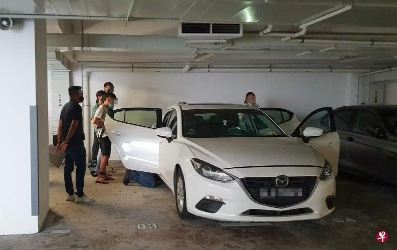 (已签发)柔:狮城二三事:见友人与警员缠斗 男子“助阵”打伤警