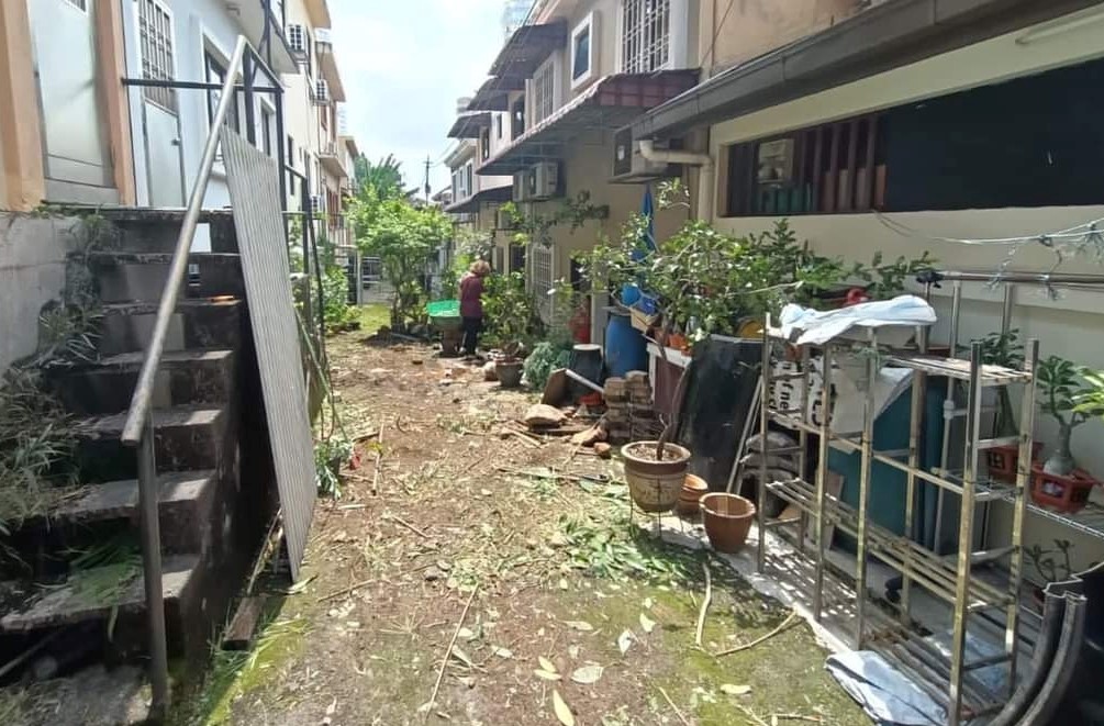 me03副文-大都会／后巷变私人花圃惹蚊虫阻逃生，邻居求助MPKJ清空／4图