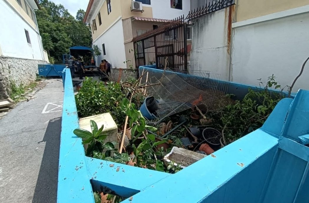 me03副文-大都会／后巷变私人花圃惹蚊虫阻逃生，邻居求助MPKJ清空／4图