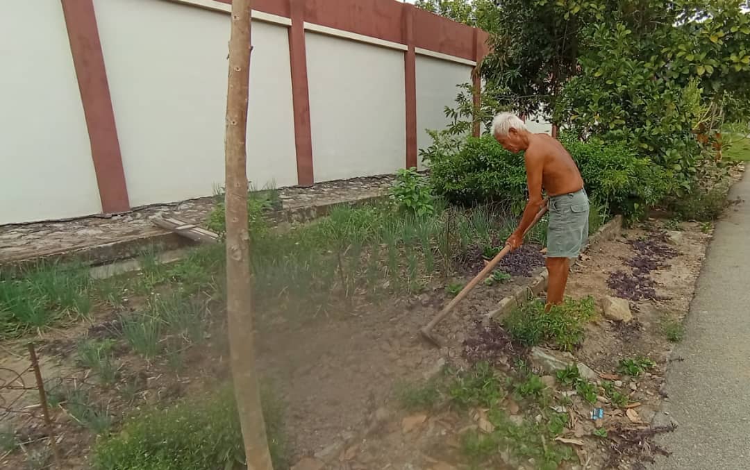 NS 马口：传统磨锄头法实际又省钱