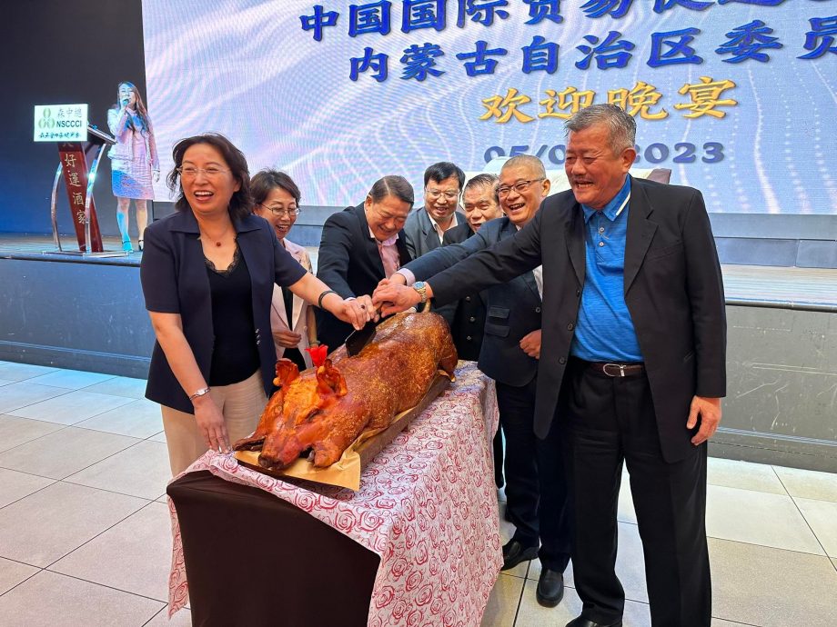 NS主文/森中总致力挖掘多领域发展潜能,今年已接待逾200海外企业家