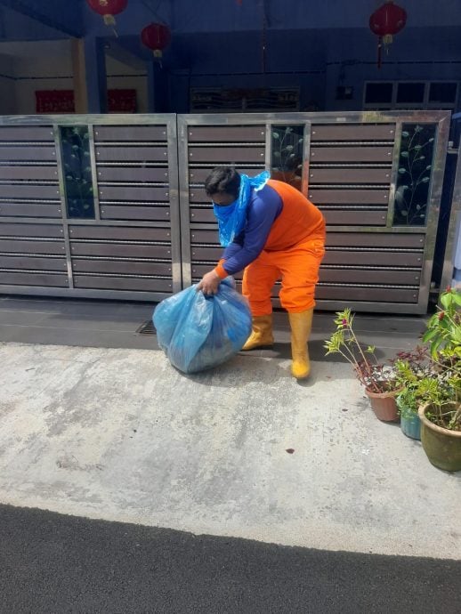 NS封面主文/流浪狗猫横尸路上找SWM公司处理,野生动物尸体归PERHILITAN负责