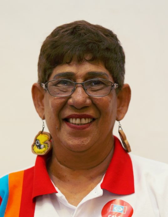 NS芙蓉/森行动党料撤换2人派新人上阵,万茂、拉杭及罗白有新面孔