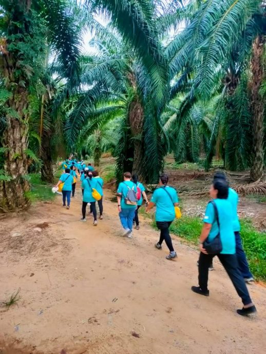 NS马口:马口区复蔬公益路跑活动获108名公众参与