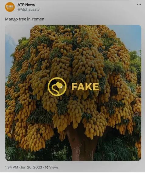Snopes：AI生成照 “也门芒果树”假的