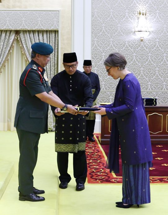 18新任驻马使节向元首递交国书