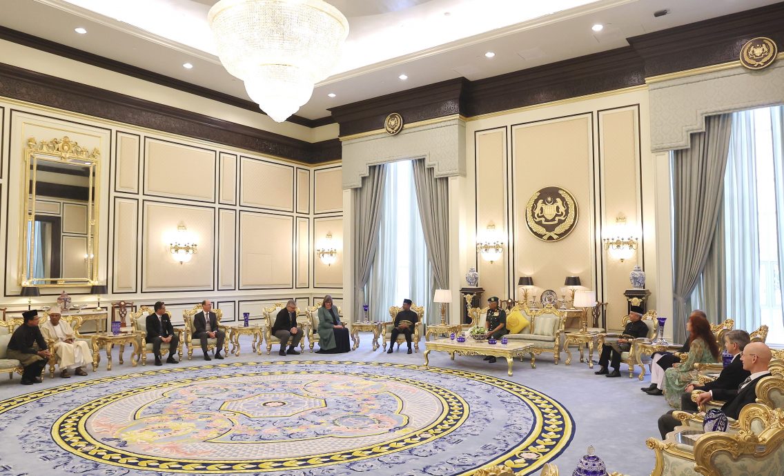 18新任驻马使节向元首递交国书