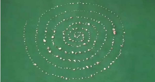 23岁正妹“一次拔57颗牙”!医见X光照兴奋叫实习医全来:很罕见