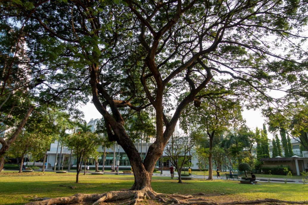 31/8城人小说——离／黎子阙／黎洁欣 Lai Gek Yan／940506-08-6092／gekyanlai@gmail.com／08995-41-00025545-5 BSN