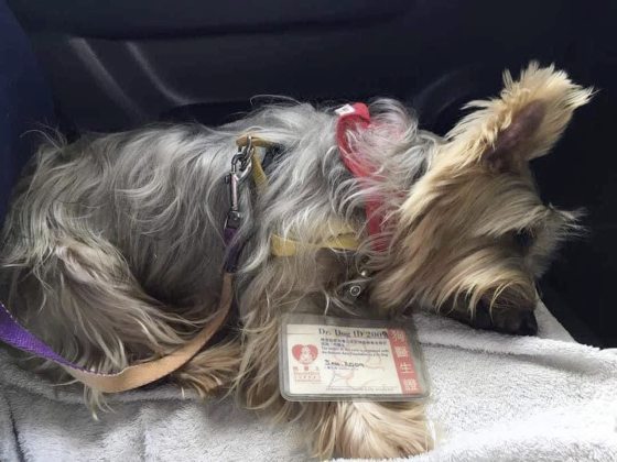 Ark，一生行医，为病人带来欢乐