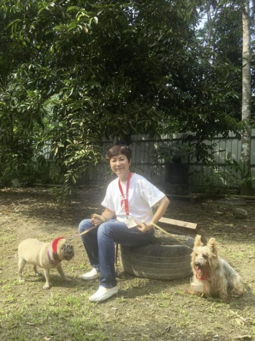 Ark，一生行医，为病人带来欢乐