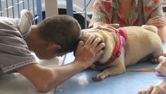 Ark，一生行医，为病人带来欢乐