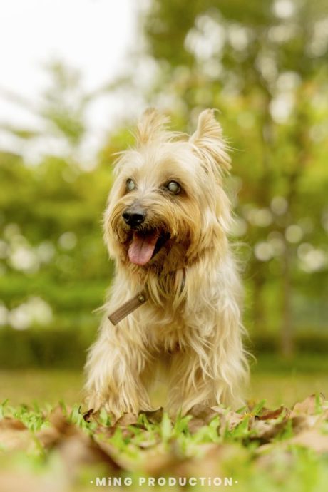 Ark，一生行医，为病人带来欢乐