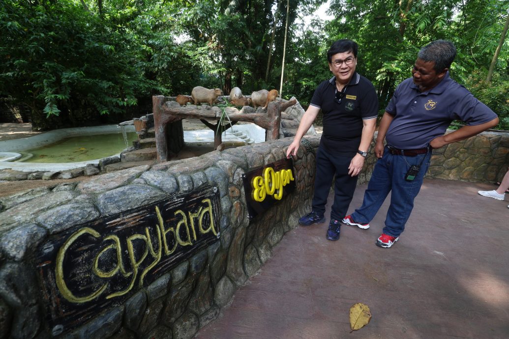  ​“Oyen”是国家动物园明星  95%访客是来看它！