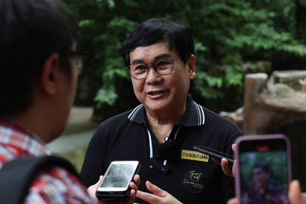  ​“Oyen”是国家动物园明星  95%访客是来看它！