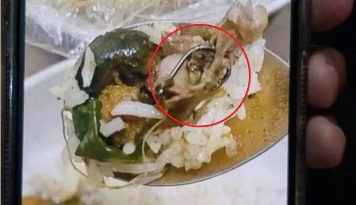 外卖鲶鱼餐里竟有鱼钩 女子:不敢再吃了