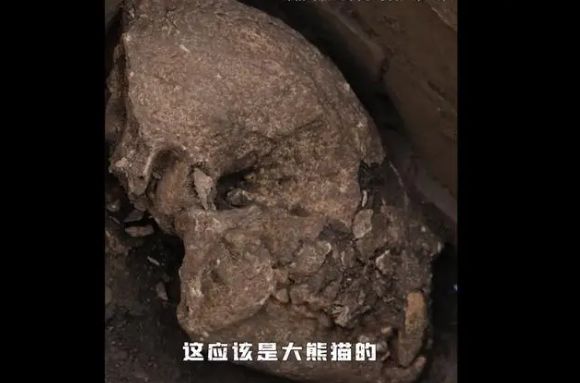 “汉文帝霸陵”极罕见陪葬品出土 “大熊猫”封存2000年见天日