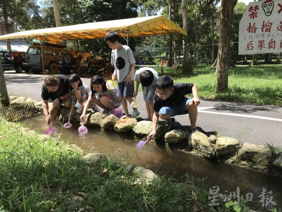 ★8月7日刊登/【农的传人】大霹雳封底主文//从附近河流自然引进 山水养鱼特鲜美嫩滑 