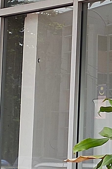 ★取代前稿/怡一商业大厦玻璃门现2小洞 霹总警长:疑是钢珠造成