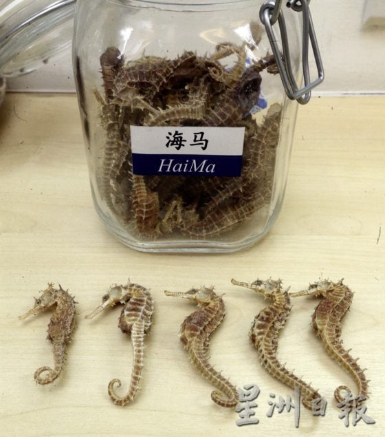 【与热为伍／03】身体发热气，中医教你对症降火！