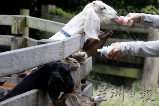 【休闲农场/01】台湾休闲农场,如何一步步找到自己的制胜之道?