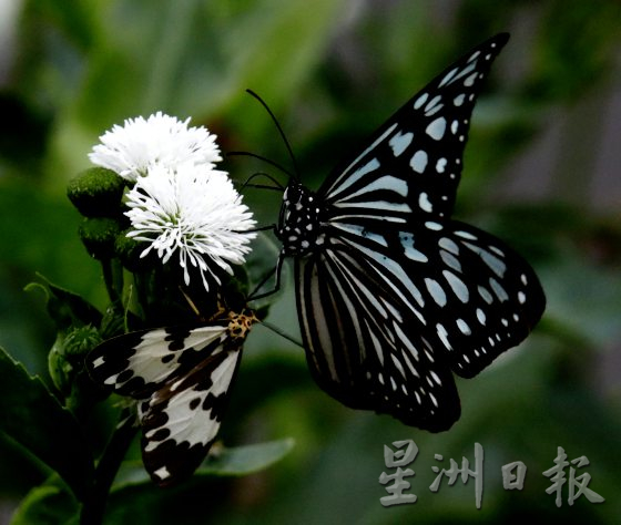 【休闲农场/01】台湾休闲农场,如何一步步找到自己的制胜之道?