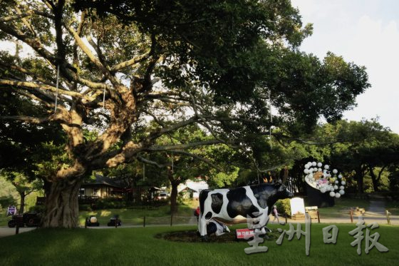 【休闲农场/01】台湾休闲农场,如何一步步找到自己的制胜之道?