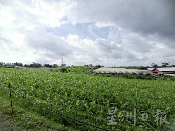 【休闲农场/03】大马休闲农场,如何突破困境,走出自己的特色?