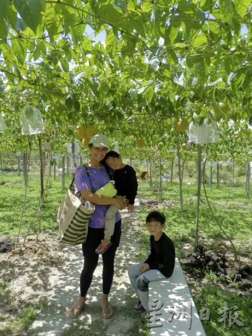 【休闲农场/03】大马休闲农场,如何突破困境,走出自己的特色?