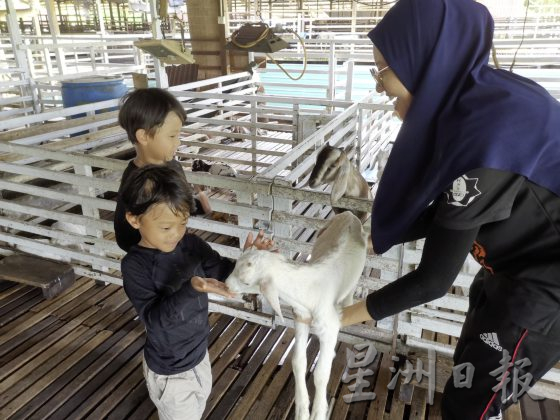 【休闲农场/03】大马休闲农场,如何突破困境,走出自己的特色?