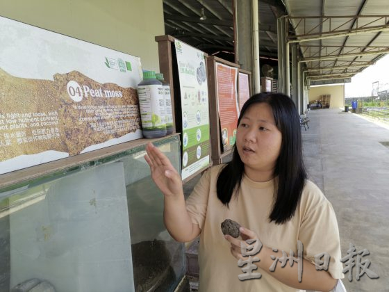 【休闲农场/03】大马休闲农场,如何突破困境,走出自己的特色?