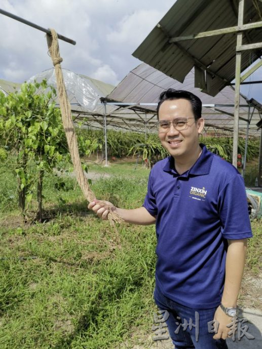 【休闲农场/03】大马休闲农场,如何突破困境,走出自己的特色?