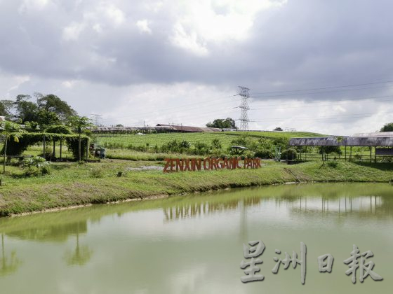 【休闲农场/03】大马休闲农场,如何突破困境,走出自己的特色?