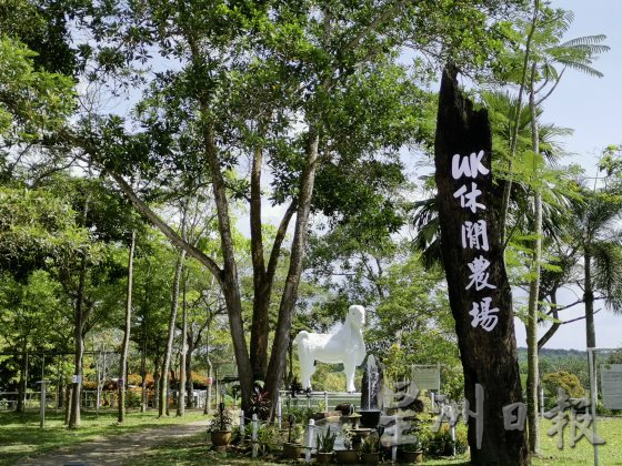 【休闲农场/03】大马休闲农场,如何突破困境,走出自己的特色?