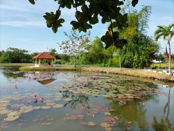 【马来西亚‧玻璃市】一路向北,自游大马半岛最北州属