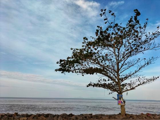【马来西亚‧玻璃市】一路向北,自游大马半岛最北州属