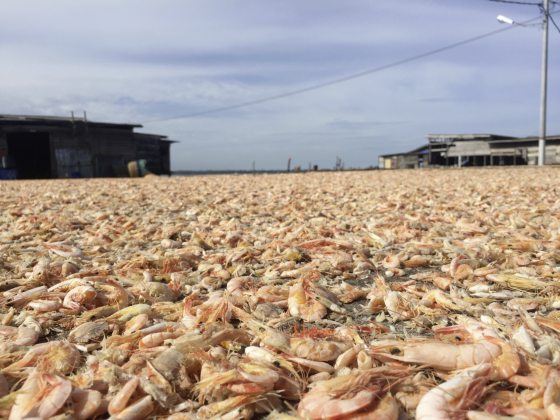 【马来西亚‧雪兰莪】吉胆岛五条港,悠闲慢活好时光