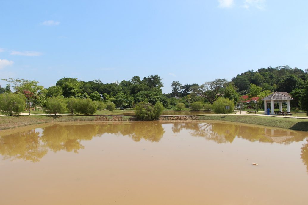 东2:劳勿城市公园莲花池油渍清理工作虽已完成,疑商业区油渍仍流入池中