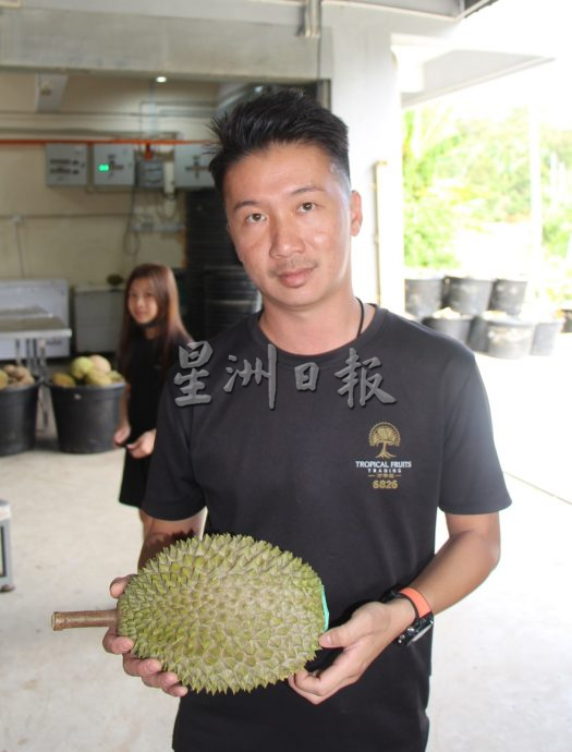 东2:猫山王A果数量从60%暴跌至5%,园主希望提高A果价格弥补损失