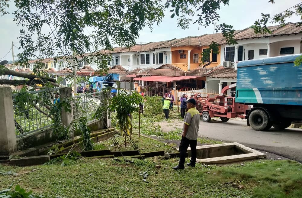 东：文德甲昨天傍晚暴风雨吹袭，一住家被倒树击毁围墙和篱笆