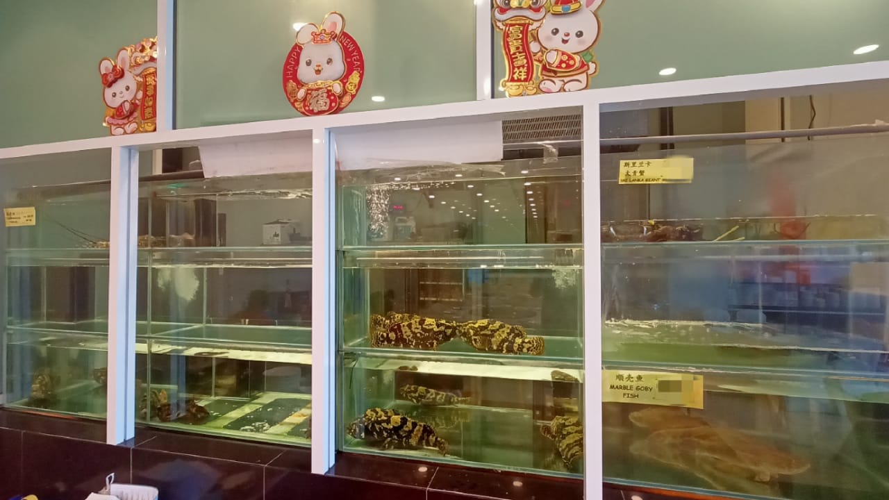 东:日本核废水排海,本地餐厅暂停进口日本海鲜。